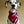Load image into Gallery viewer, KLAUS Fringed Flannel Dog Bandana - Snap/Tie On Cotton Scarf WINTER COLLECTION
