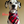 Load image into Gallery viewer, KLAUS Fringed Flannel Dog Bandana - Snap/Tie On Cotton Scarf WINTER COLLECTION
