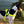 Load image into Gallery viewer, PREMADE COLLECTION - Neon Yellow Biothane Dog Harness
