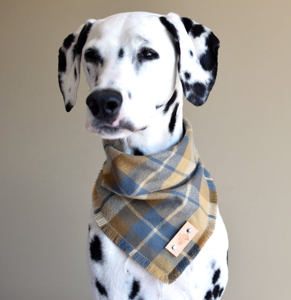 SCHRUTE Fringed Flannel Dog Bandana - Snap/Tie On Cotton Scarf