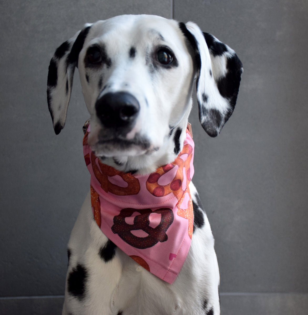 Dalmatian bandana hotsell