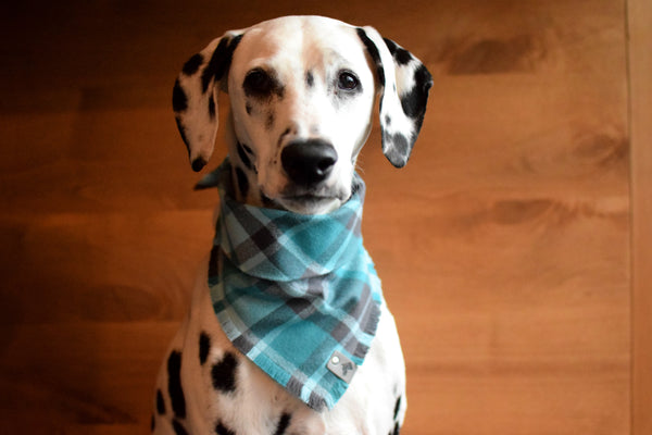 PEYTO Fringed Flannel Dog Bandana - Snap/Tie On Cotton Scarf
