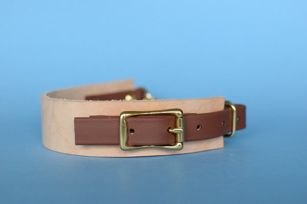EXCLUSIVE LEATHER COLLECTION - Natural Tan & Medium Brown, Limited Edition Biothane and Leather Combo Martingale Dog Collar