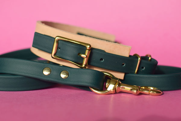 EXCLUSIVE LEATHER COLLECTION - Natural Tan & Forest, Limited Edition Biothane and Leather Combo Martingale Dog Collar