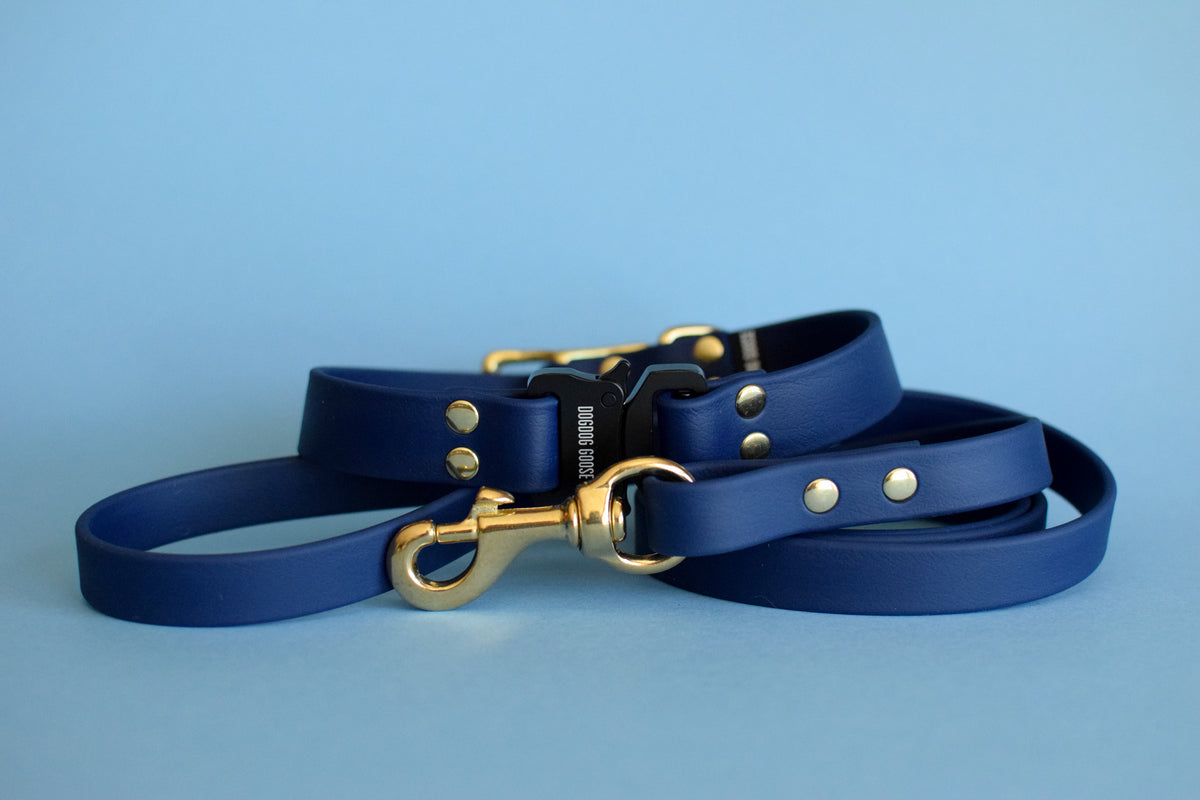 Navy blue dog collar and leash sale