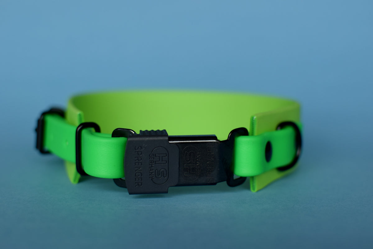 Neon dog outlet collar