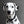 Load image into Gallery viewer, LUCI COLLECTION - White &amp; Black Osgiliath Biothane Dog Collar

