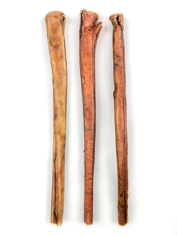 12" Beef Bully Stick