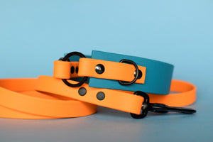 Everyday Biothane Collection