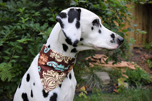 Bandana Retirement Sale