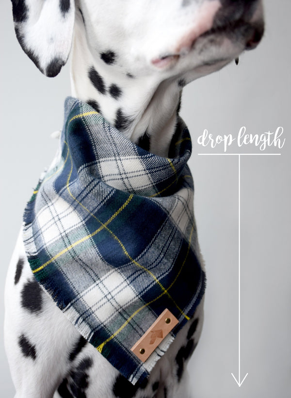 SAPPHIRE Fringed Flannel Dog Bandana - Snap/Tie On Cotton Scarf