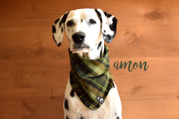 AMON Fringed Flannel Dog Bandana - Snap/Tie On Cotton Scarf