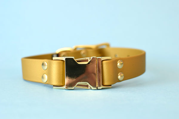 HARDWARE RETIREMENT SALE - Gold & Brass Biothane Dog Collar