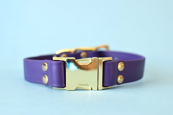 HARDWARE RETIREMENT SALE - Purple & Brass Biothane Dog Collar