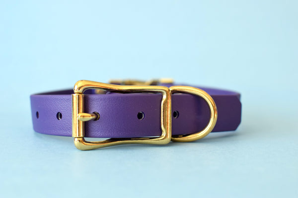 HARDWARE RETIREMENT SALE - Purple & Brass Biothane Dog Collar