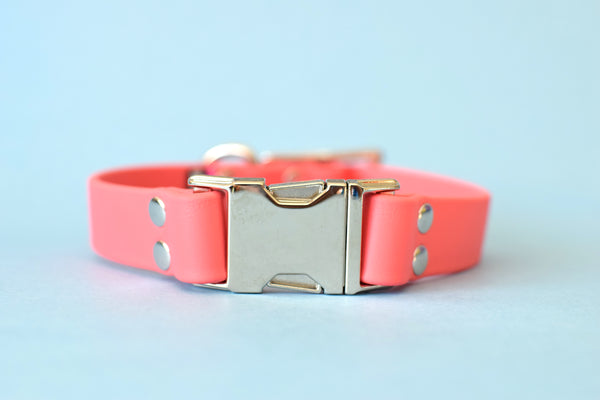 HARDWARE RETIREMENT SALE - Coral & Nickel Biothane Dog Collar