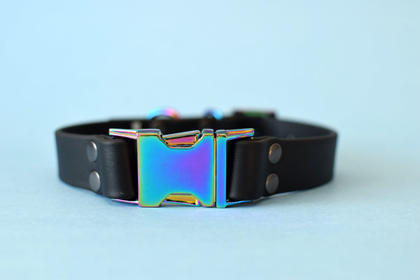 HARDWARE RETIREMENT SALE - Black & Gasoline Rainbow Biothane Dog Collar