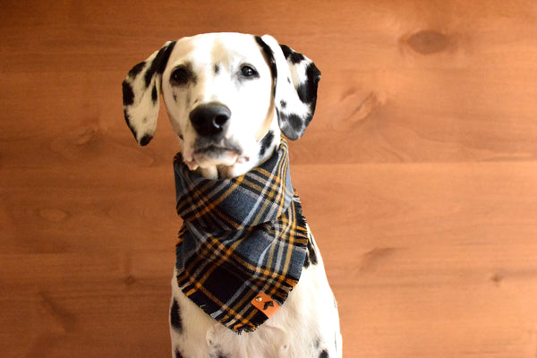 WARWICK Fringed Flannel Dog Bandana - Snap/Tie On Cotton Scarf