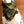 Load image into Gallery viewer, AMON Fringed Flannel Dog Bandana - Snap/Tie On Cotton Scarf
