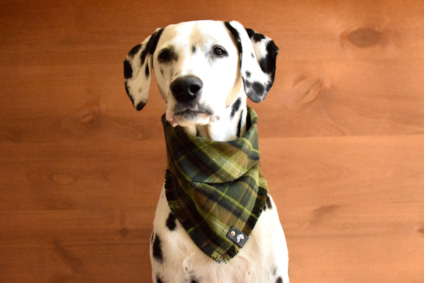AMON Fringed Flannel Dog Bandana - Snap/Tie On Cotton Scarf