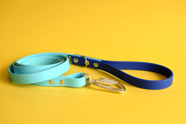 PREMADE COLLECTION - Baby Blue & Royal Biothane Dog Leash