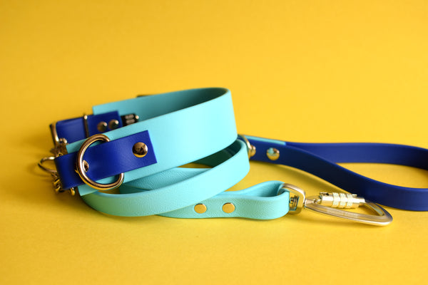 PREMADE COLLECTION - Baby Blue & Royal Biothane Dog Leash