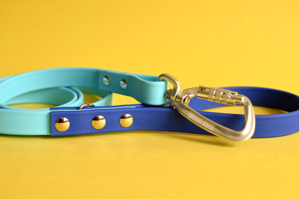 PREMADE COLLECTION - Baby Blue & Royal Biothane Dog Leash