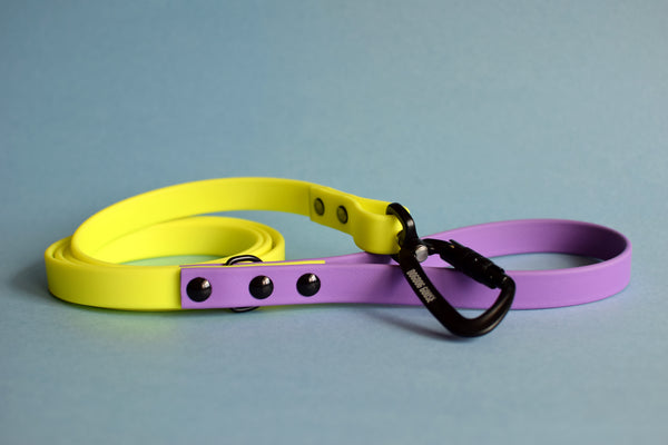 PREMADE COLLECTION - Amethyst & Neon Yellow Biothane Dog Leash