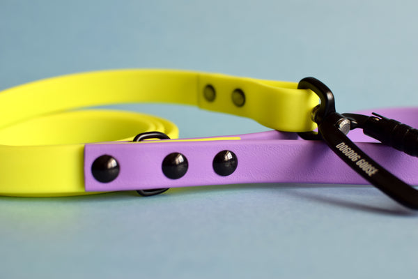 PREMADE COLLECTION - Amethyst & Neon Yellow Biothane Dog Leash