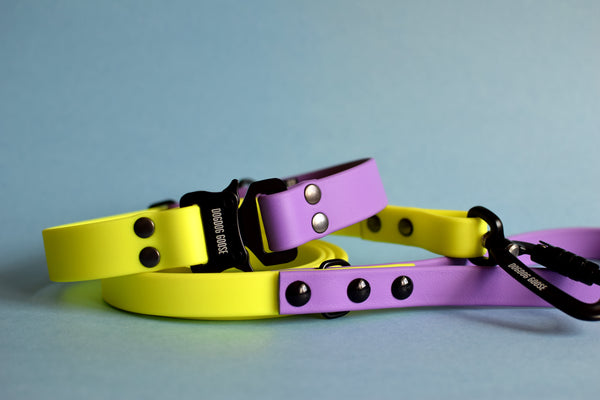 PREMADE COLLECTION - Amethyst & Neon Yellow Biothane Dog Leash