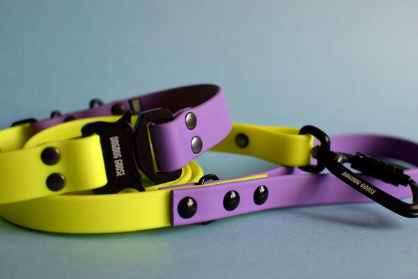 PREMADE COLLECTION - Amethyst & Neon Yellow Biothane Dog Leash