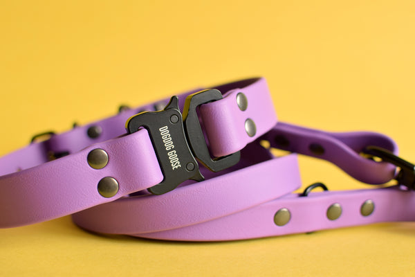 PREMADE COLLECTION - Amethyst & Black Biothane Dog Collar