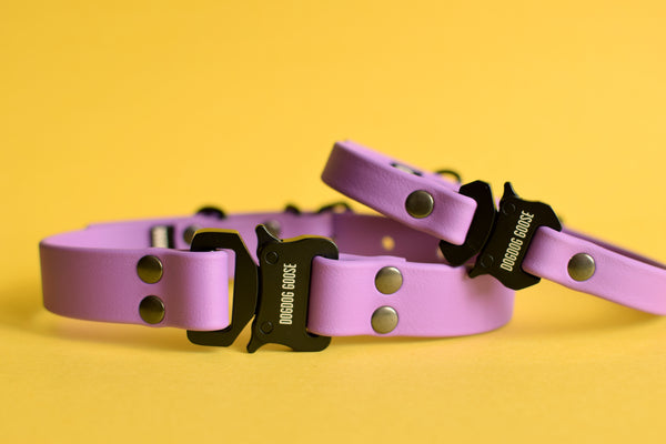 PREMADE COLLECTION - Amethyst & Black Biothane Dog Collar