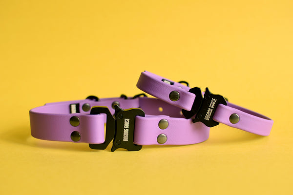 PREMADE COLLECTION - Amethyst & Black Biothane Dog Collar