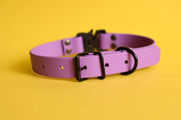 PREMADE COLLECTION - Amethyst & Black Biothane Dog Collar