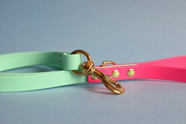 PREMADE COLLECTION - Seafoam & Fuchsia Biothane Dog Leash