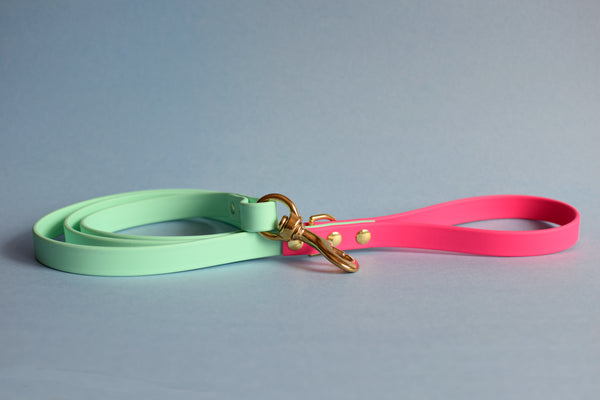 PREMADE COLLECTION - Seafoam & Fuchsia Biothane Dog Leash