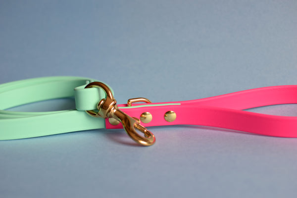 PREMADE COLLECTION - Seafoam & Fuchsia Biothane Dog Leash