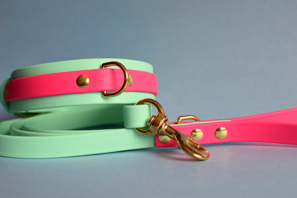 PREMADE COLLECTION - Seafoam & Fuchsia Biothane Dog Collar