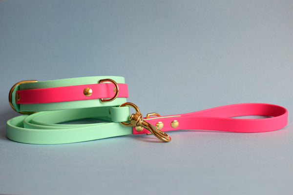 PREMADE COLLECTION - Seafoam & Fuchsia Biothane Dog Leash