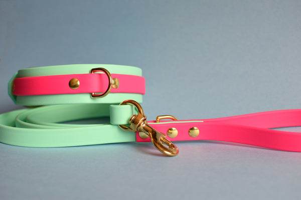 PREMADE COLLECTION - Seafoam & Fuchsia Biothane Dog Leash