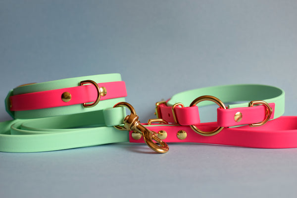 PREMADE COLLECTION - Seafoam & Fuchsia Biothane Dog Collar