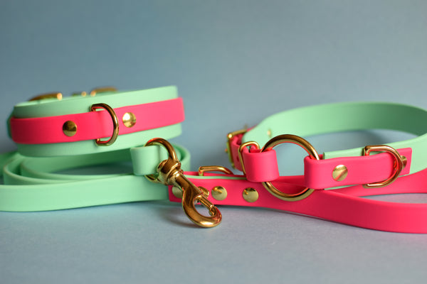 PREMADE COLLECTION - Seafoam & Fuchsia Biothane Dog Leash