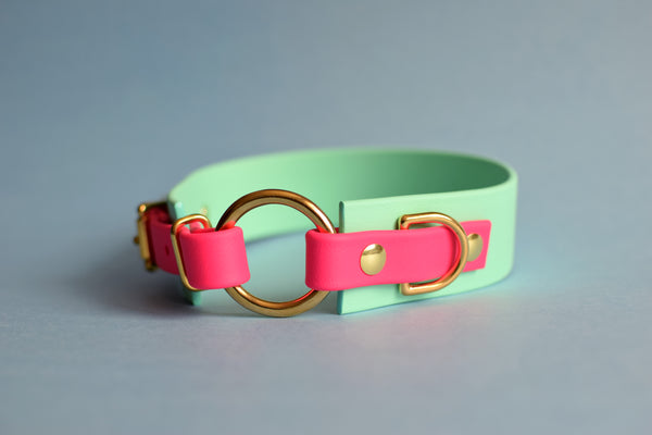 PREMADE COLLECTION - Seafoam & Fuchsia with Brass, Osgiliath Biothane Dog Collar