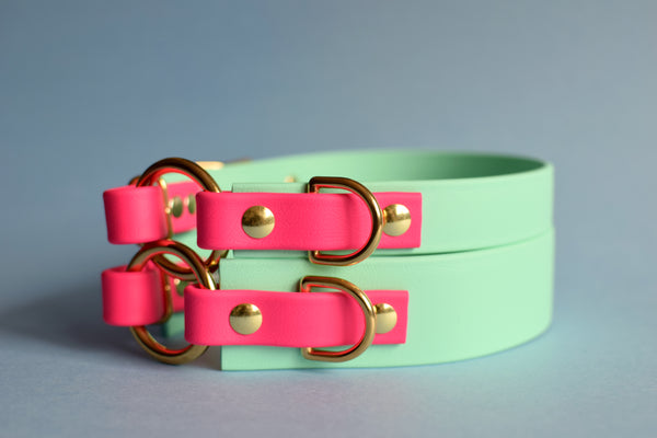 PREMADE COLLECTION - Seafoam & Fuchsia with Brass, Osgiliath Biothane Dog Collar