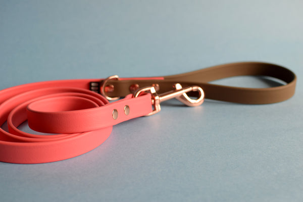 PREMADE COLLECTION - Coral & Coyote Brown Biothane Dog Leash