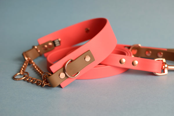 PREMADE COLLECTION - Coral & Coyote Brown Biothane Martingale Dog Collar