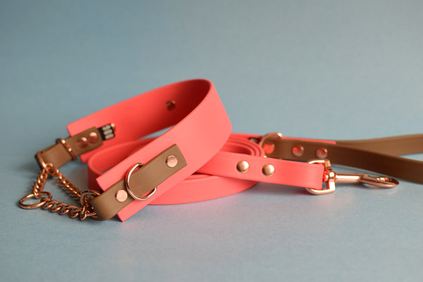 PREMADE COLLECTION - Coral & Coyote Brown Biothane Martingale Dog Collar