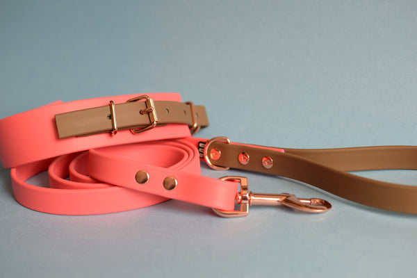 PREMADE COLLECTION - Coral & Coyote Brown Biothane Dog Leash