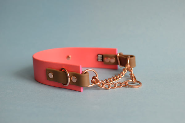 PREMADE COLLECTION - Coral & Coyote Brown Biothane Martingale Dog Collar